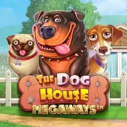 The Dog House Megaways gra w Dolly Casino dla graczy z Polski