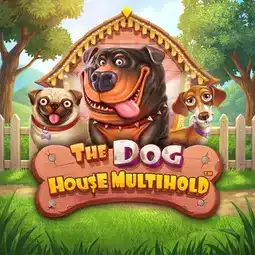 The Dog House Multihold gra w Dolly Casino dla graczy z Polski